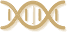 Peptara Labs